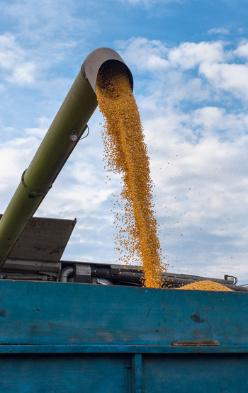 Mejoras de rendimiento