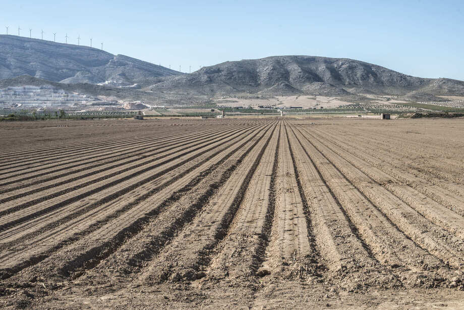 Campos de maíz - nuestra pasión